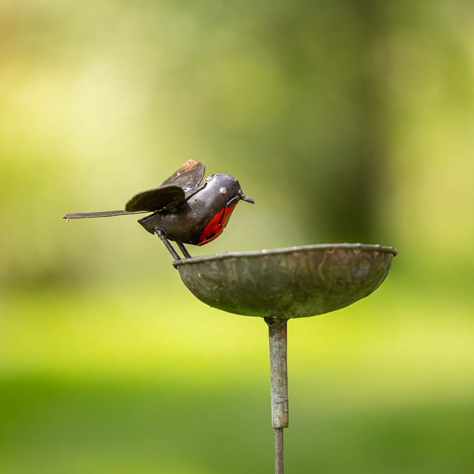 Metalen tuinbeeld van een roodborst Schaal, gemaakt door een Afrikaanse kunstenaar. Roodborst Schaal